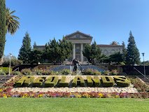 جامعة ريدلاندز